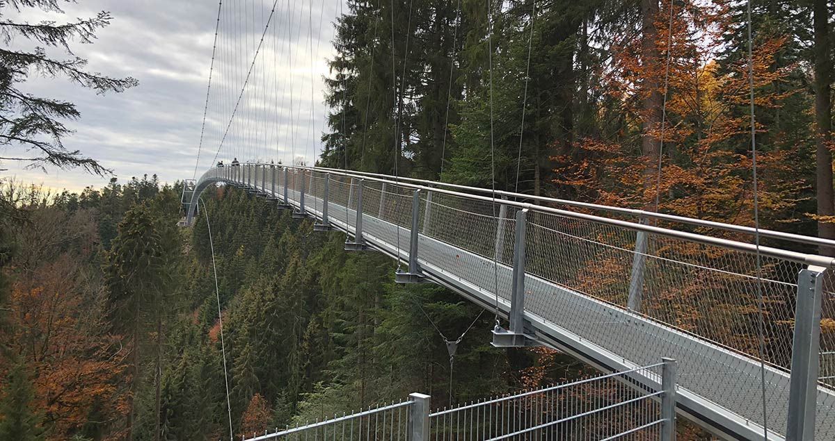 Falkner Maschinenbau Brücke Bad Wildbach